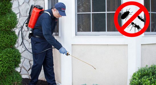 Nergiz Böcek İlaçlama böcek ilaçlama ve haşere kontrolü — ilaclama-tr.com